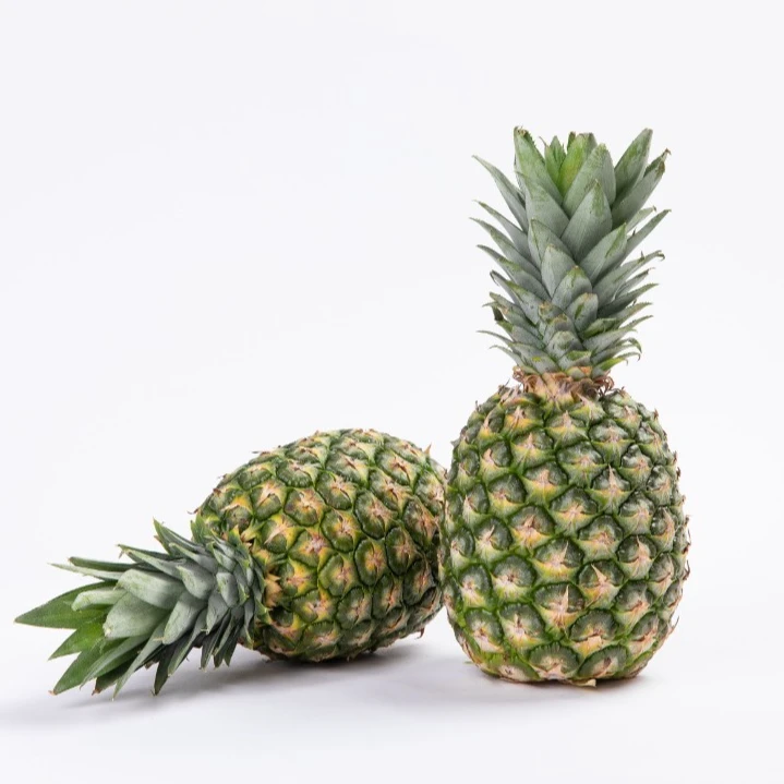 【京东顺丰】海南金钻凤梨产地果园树熟现摘现发酸甜可口