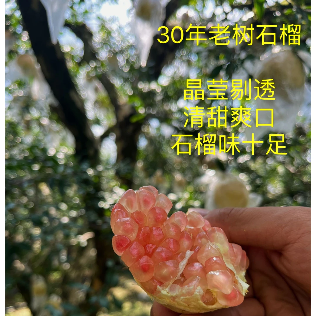 云南蒙自30年老树甜石榴绿籽薄皮石榴应季新鲜水果清甜精选产地