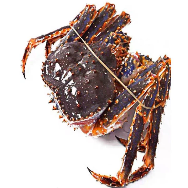 帝王蟹现称500-1950g/只肉肥味美海鲜