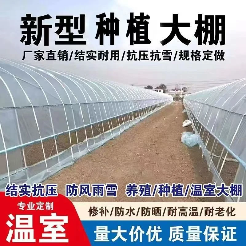 厂家直销大棚钢管养殖大棚椭圆管养鸡养猪定制拱棚支架育苗大棚