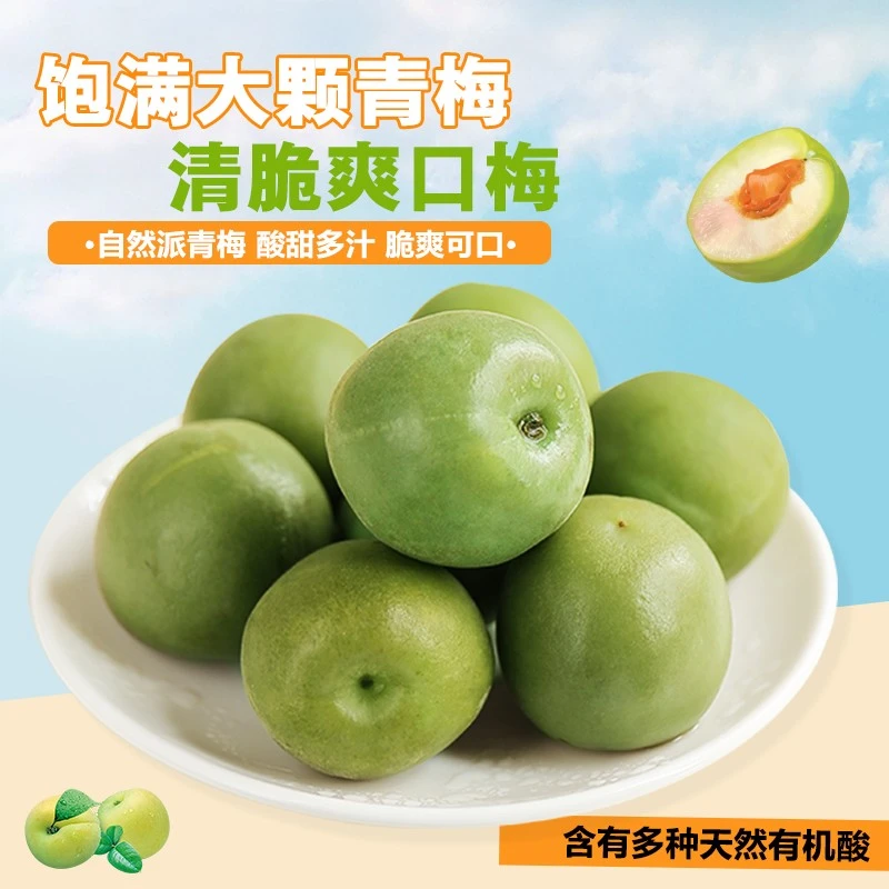 爽口青梅脆汁梅鲜果蜜饯酸零食爆汁梅子酸甜孕妇开胃网红爆款零食