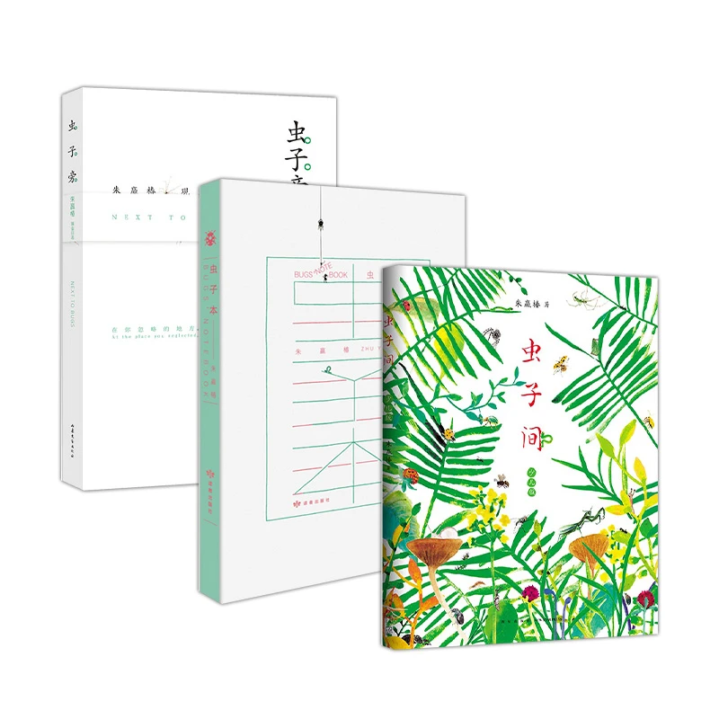 【新经典官方】虫子旁+虫子本+虫子间