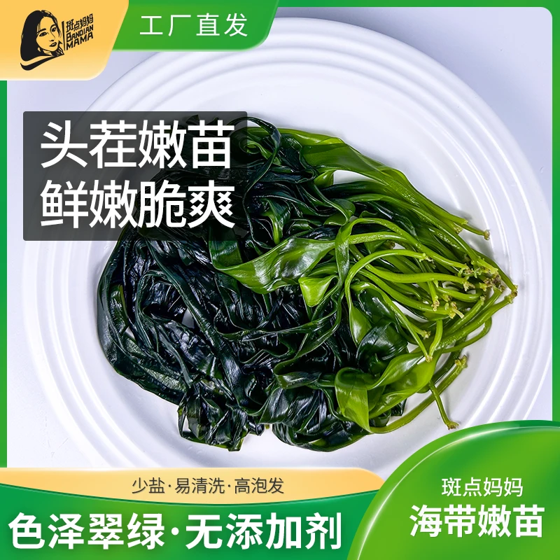 哪吒款盐渍海带嫩苗15天采摘，霞浦特产非裙带菜，鲜嫩脆爽高端营养
