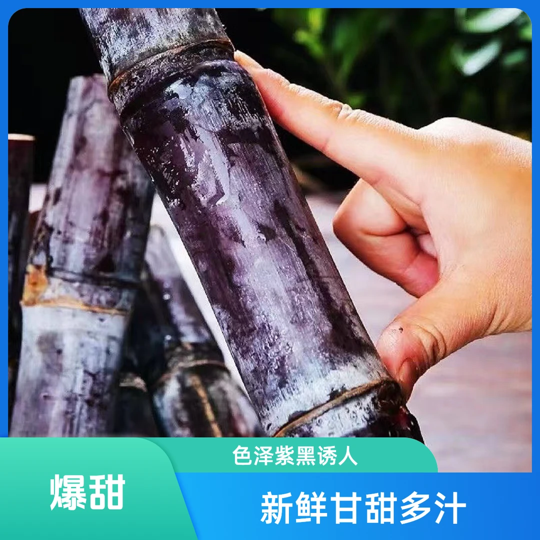 正宗广西黑皮甘蔗新鲜脆甜水果皮薄多汁爆甜爽口