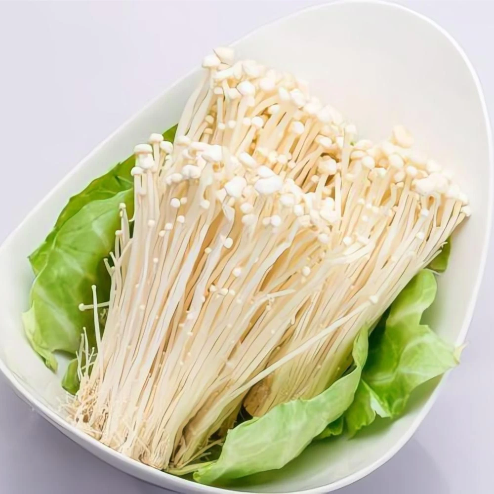 ▉金针菇*100g