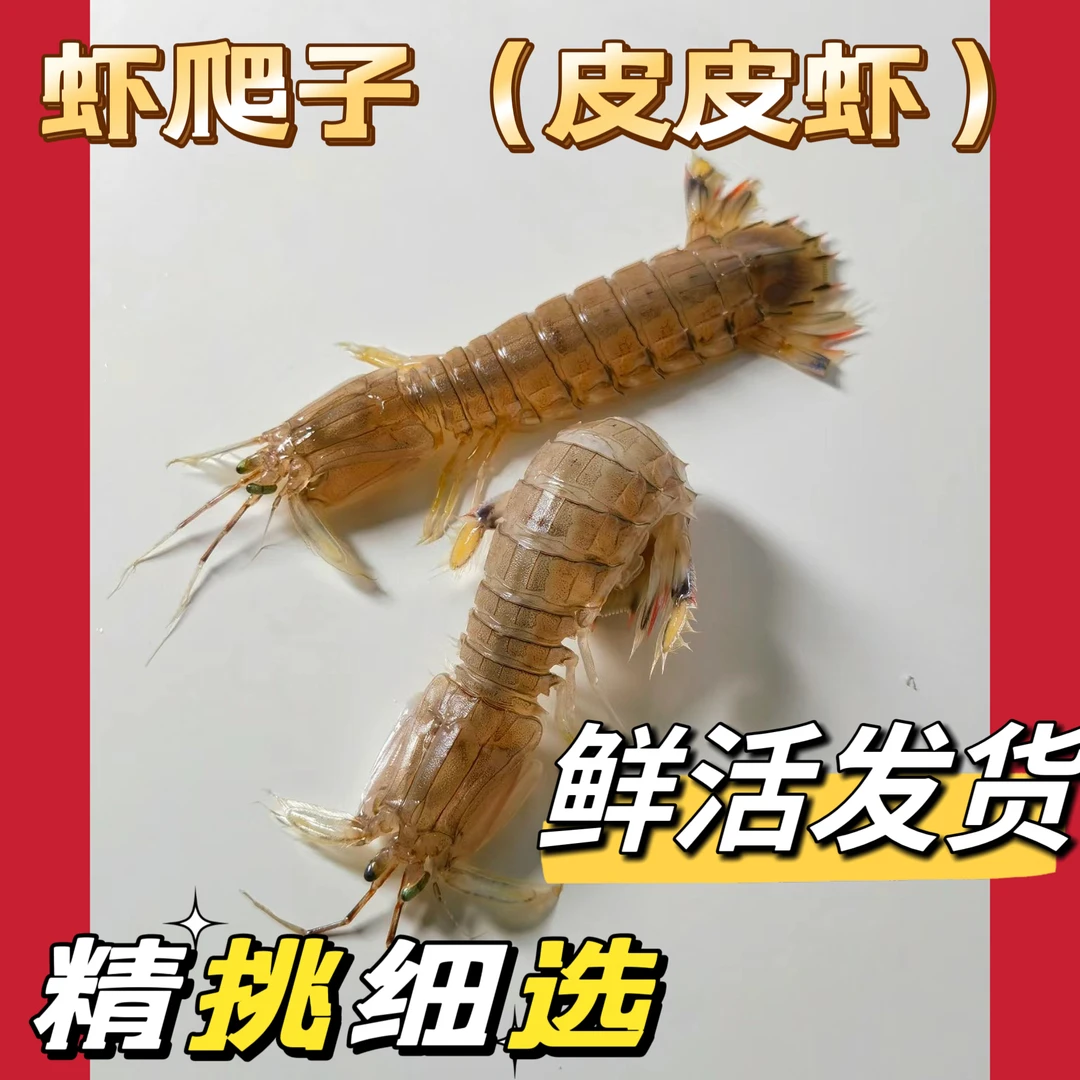 鲜活皮皮虾（打氧发货）公母混大小不一