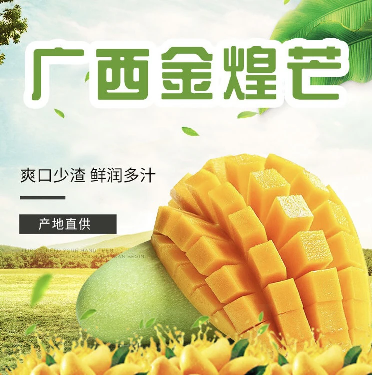 广西金煌芒果百色青皮芒果新鲜采摘大青芒甜心芒香甜软糯放软食用