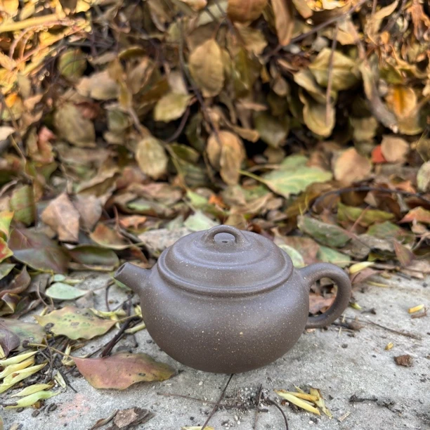 宜兴紫砂壶手工礼品茶壶茶具巨轮原矿30余年老青灰160cc左右