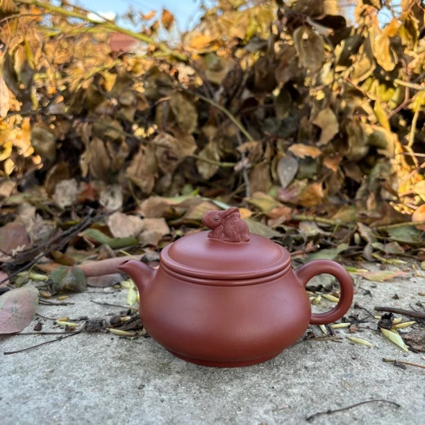 宜兴紫砂壶茶壶玉兔明炉原矿小煤窑朱泥170毫升泡茶具手工茶壶