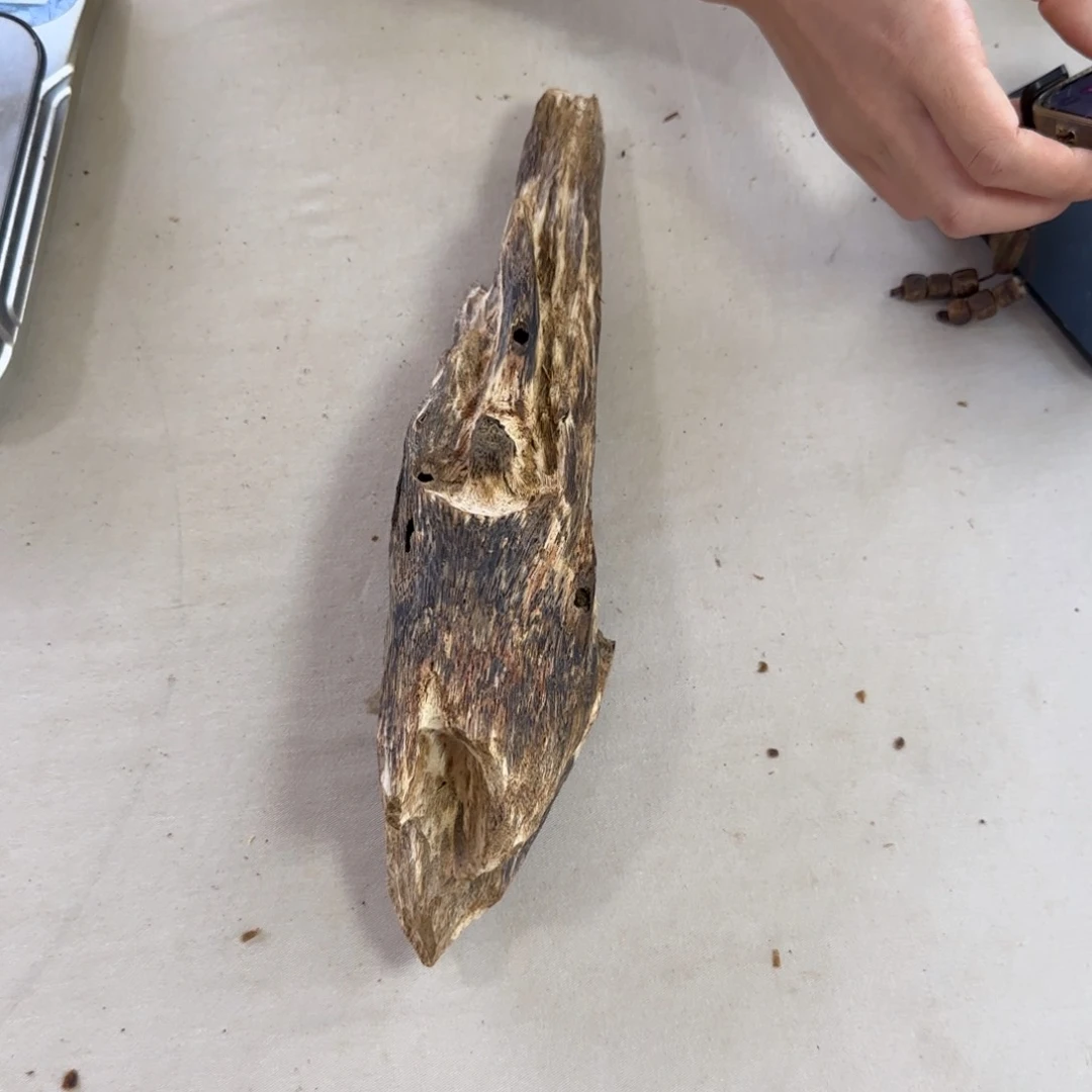 沉香玉*锦绿奇楠沉香摆件约170克