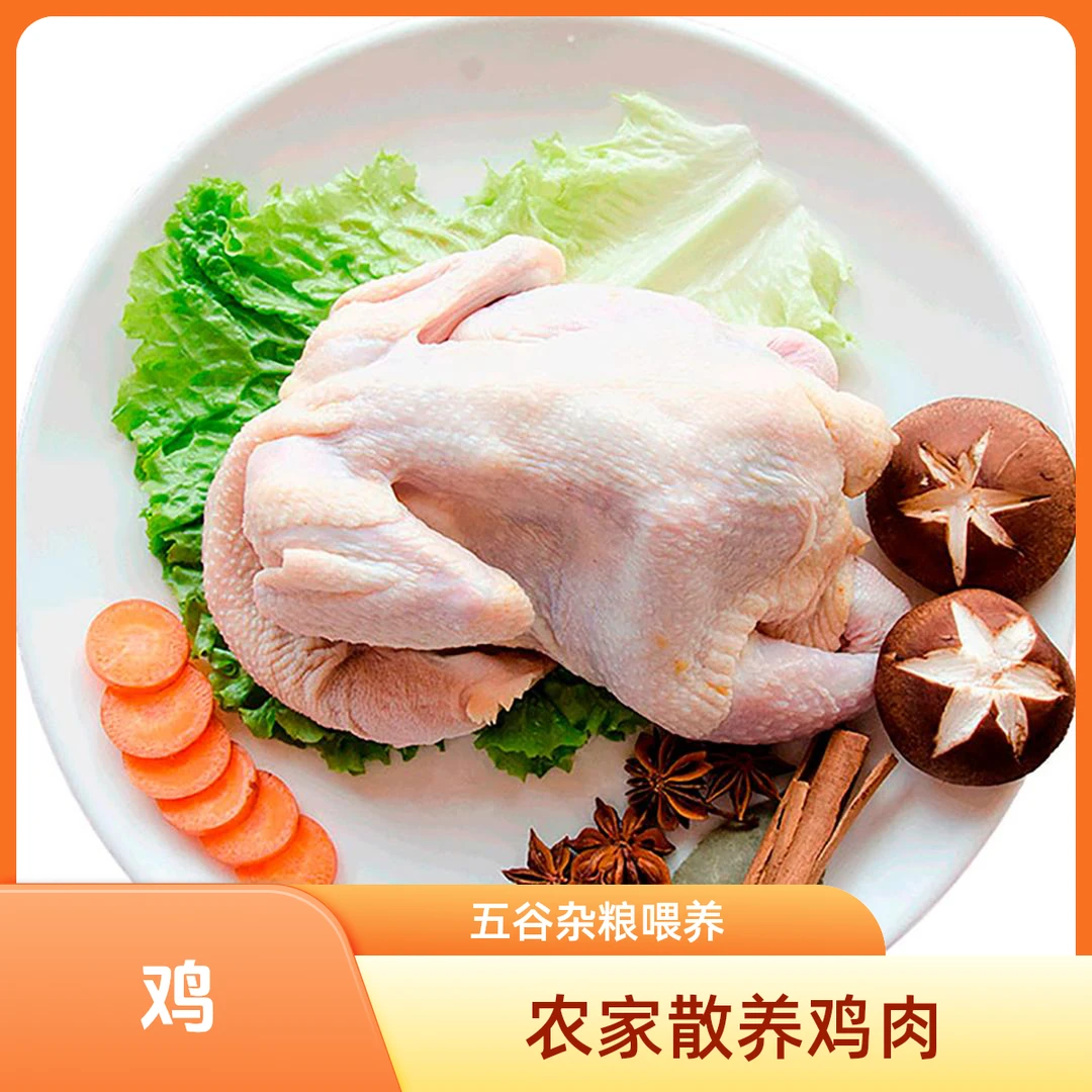 土母鸡肉农家散养鸡肉