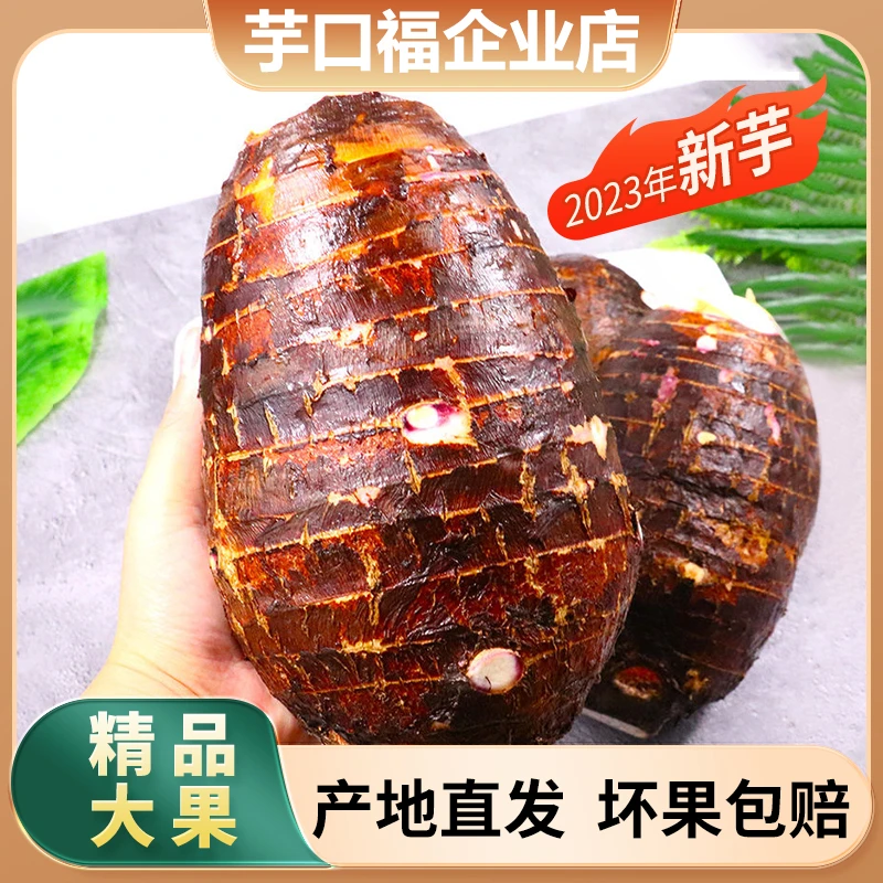 【精品大果】广西荔浦芋头2023年新鲜荔浦香芋5/9斤槟榔芋产地直发