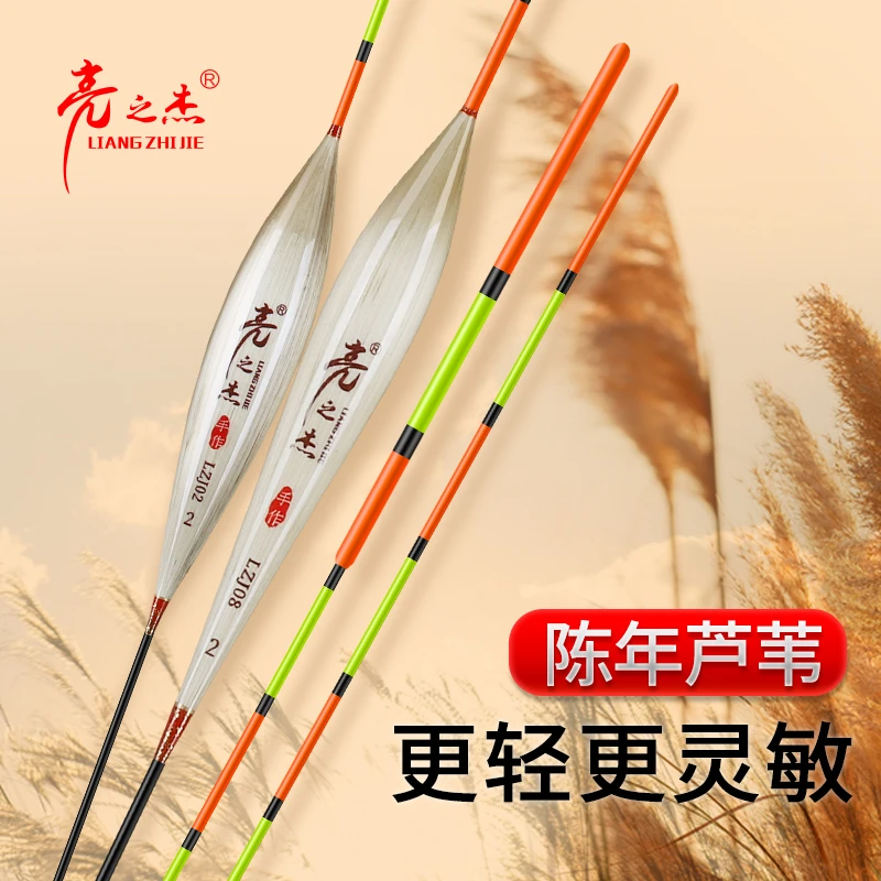亮之杰带壳芦苇浮漂高灵敏醒目抗风浪鲫鱼漂野钓冬季轻口鲫鱼鱼漂