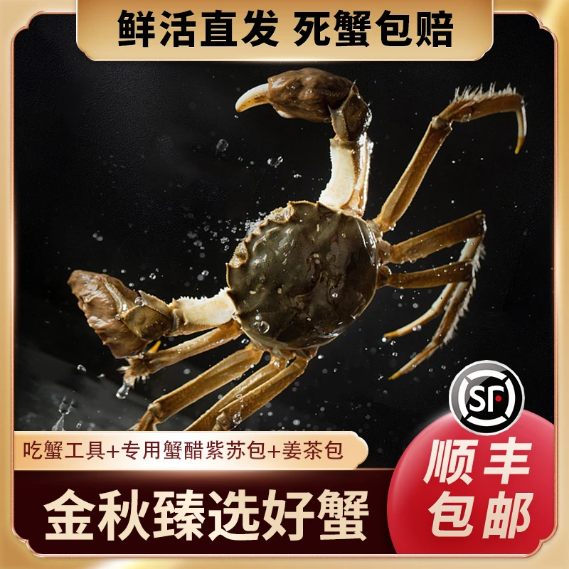 【活蟹】苏州精品大闸蟹公5.1-4.8两+母4.1-3.8两+送2只8-10只顺丰