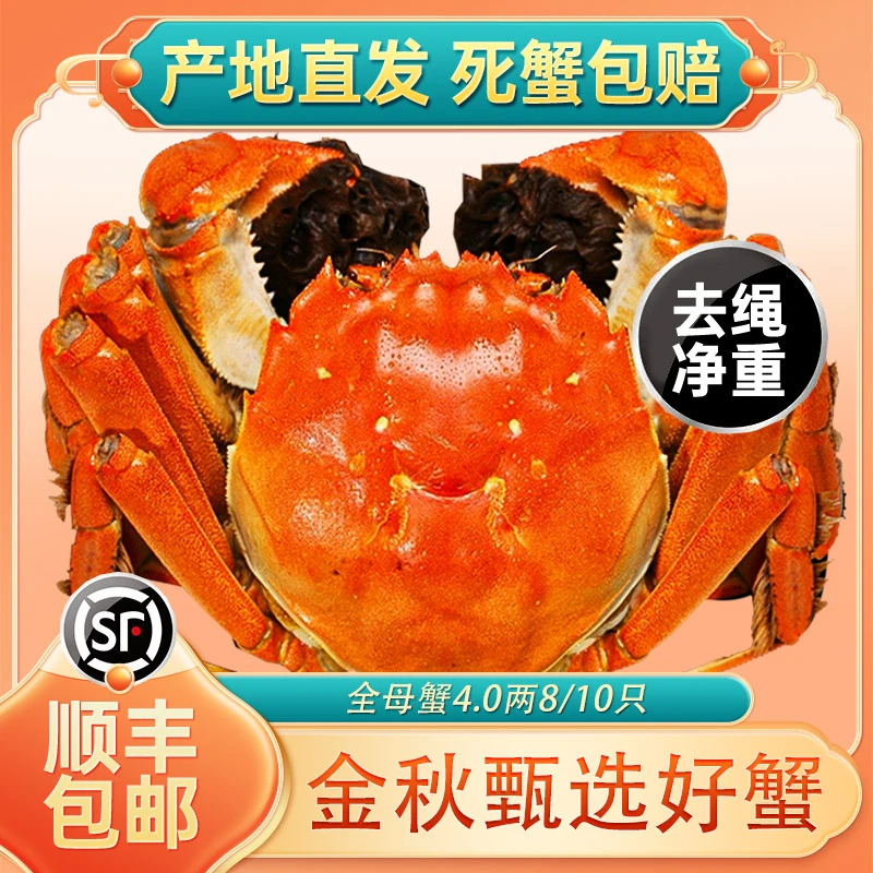 阳澄湖大闸蟹公蟹3.0两6只母蟹3.0两4只高标准养殖（塘养）严选精品