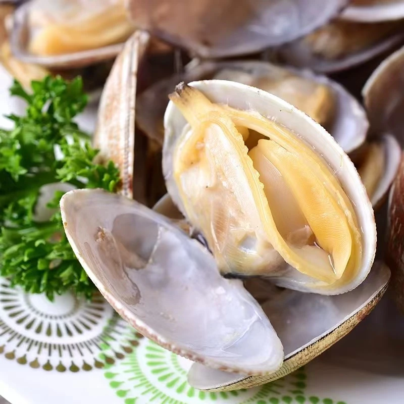 新鲜花甲吐沙干净 500g±50g