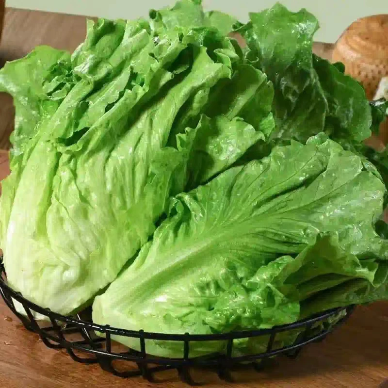 生菜500g±10g