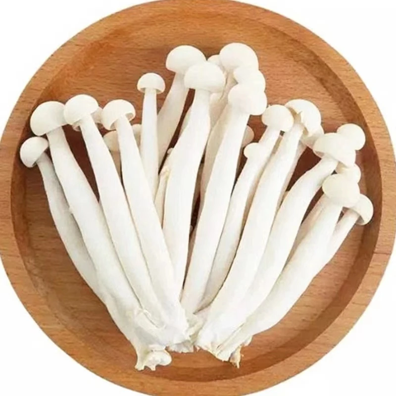 白玉菇250g±20g