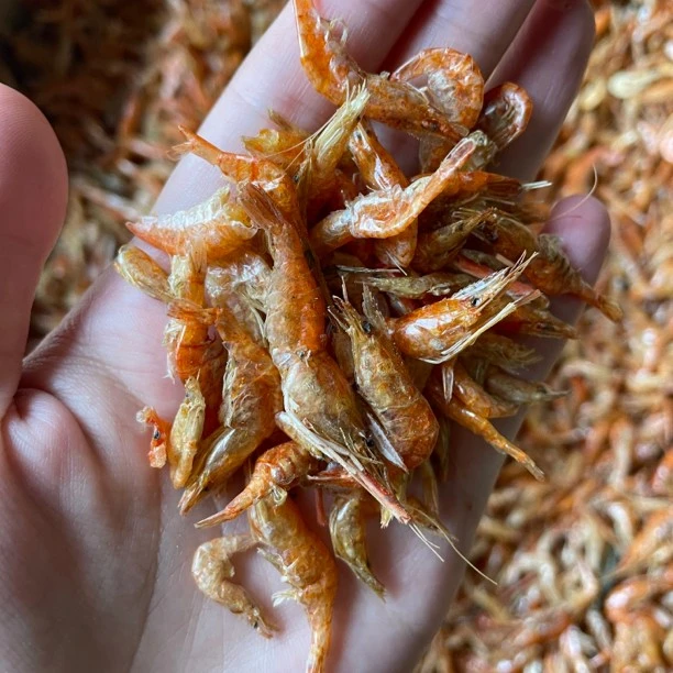 野生小红虾米无添加河虾安徽特产干货125克