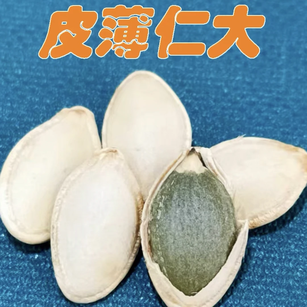 太白镇白瓜子，精选品质，天然原味，颗颗饱满，香脆可口