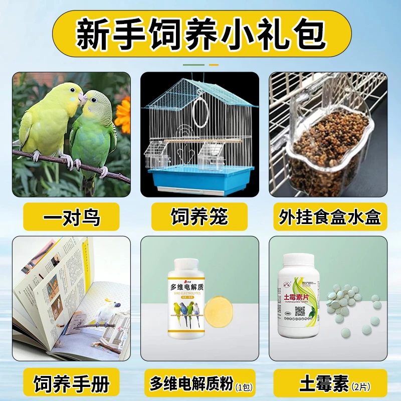 新手饲养全套大礼包【2只鸟+全套礼品一站购齐】