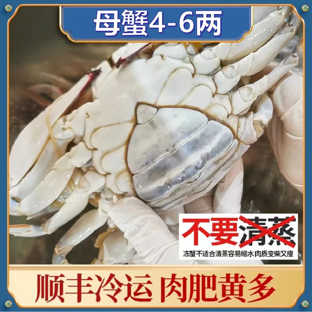 【送3只】舟山梭子蟹母蟹5两左右/只液氮冷冻螃蟹水产飞蟹肉蟹速冻