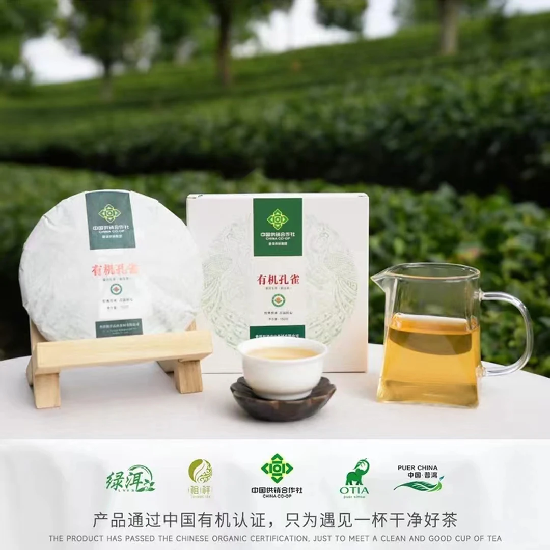 普洱供销集团  有机孔雀生茶 普洱生茶  高山 饱满 尤莱特