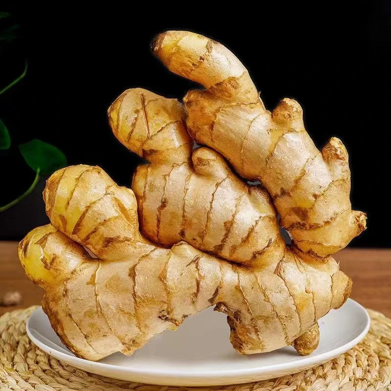 云南新鲜小黄姜  姜丝细腻味浓辛辣