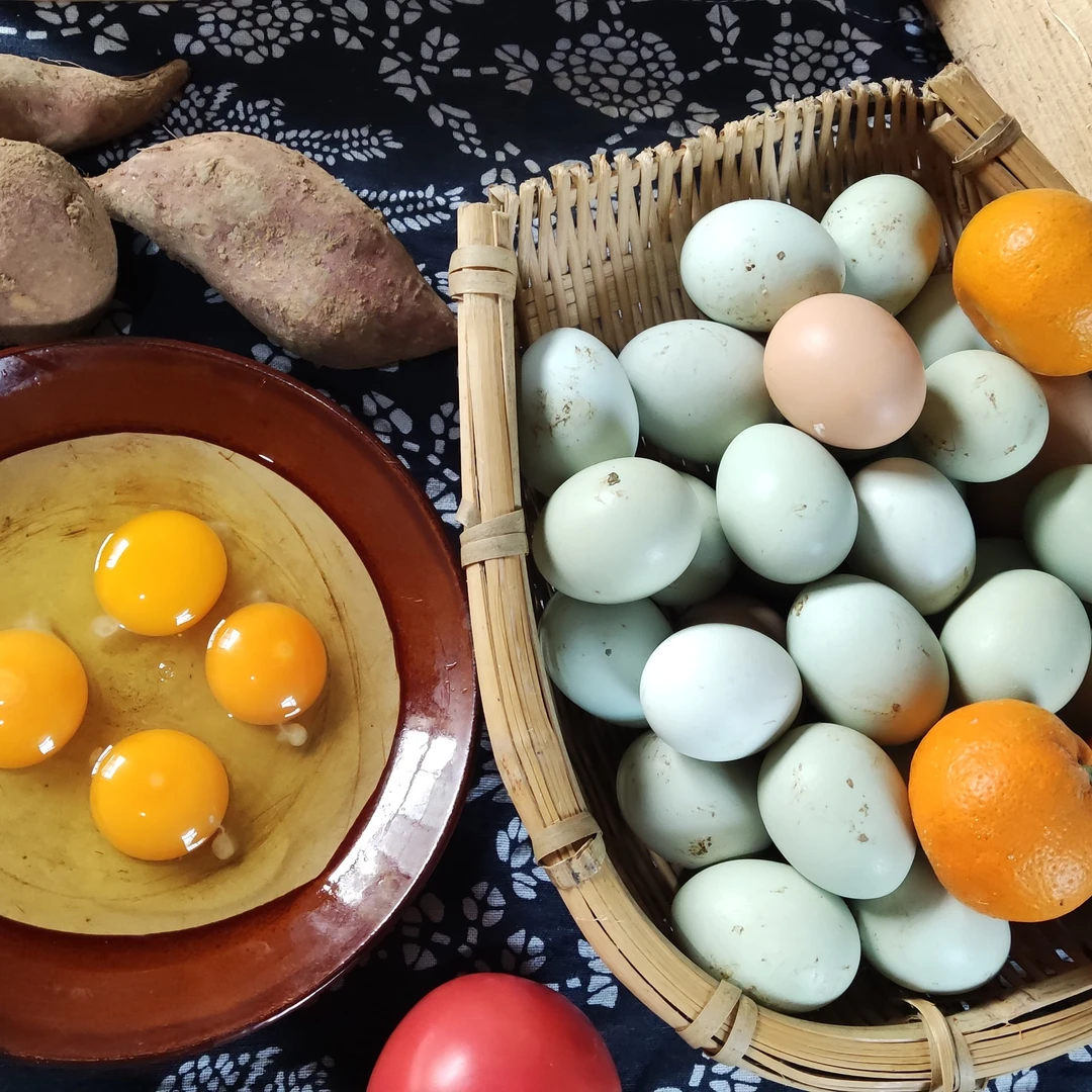 40枚装江汉鸡绿壳蛋