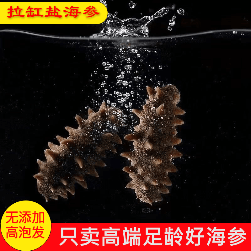 半干海参 顶火拉缸盐海参 深海底播刺参 渔民自备2根