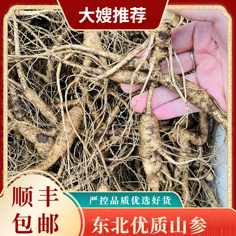 东北桓仁林下山参现选现发直播专属