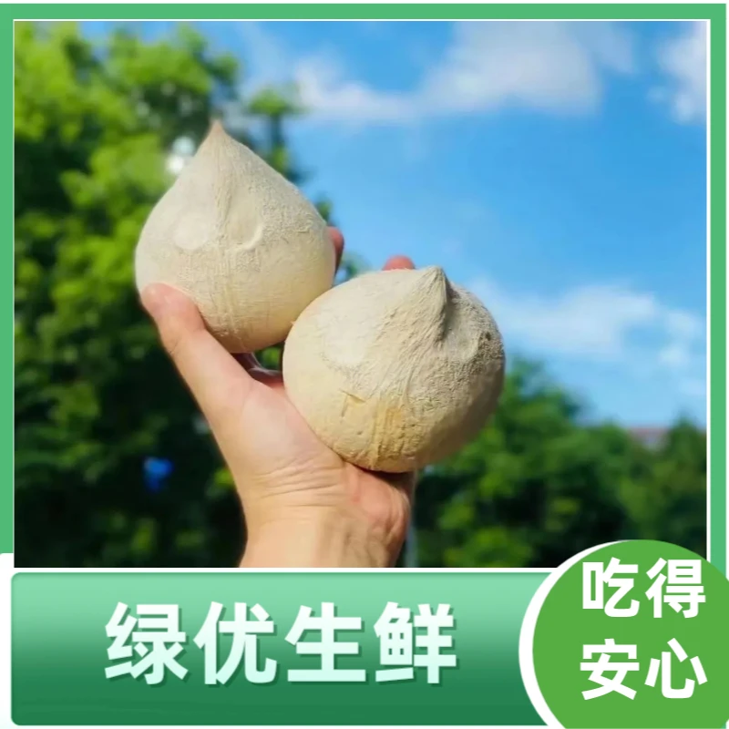 奶香椰皇约350g/个