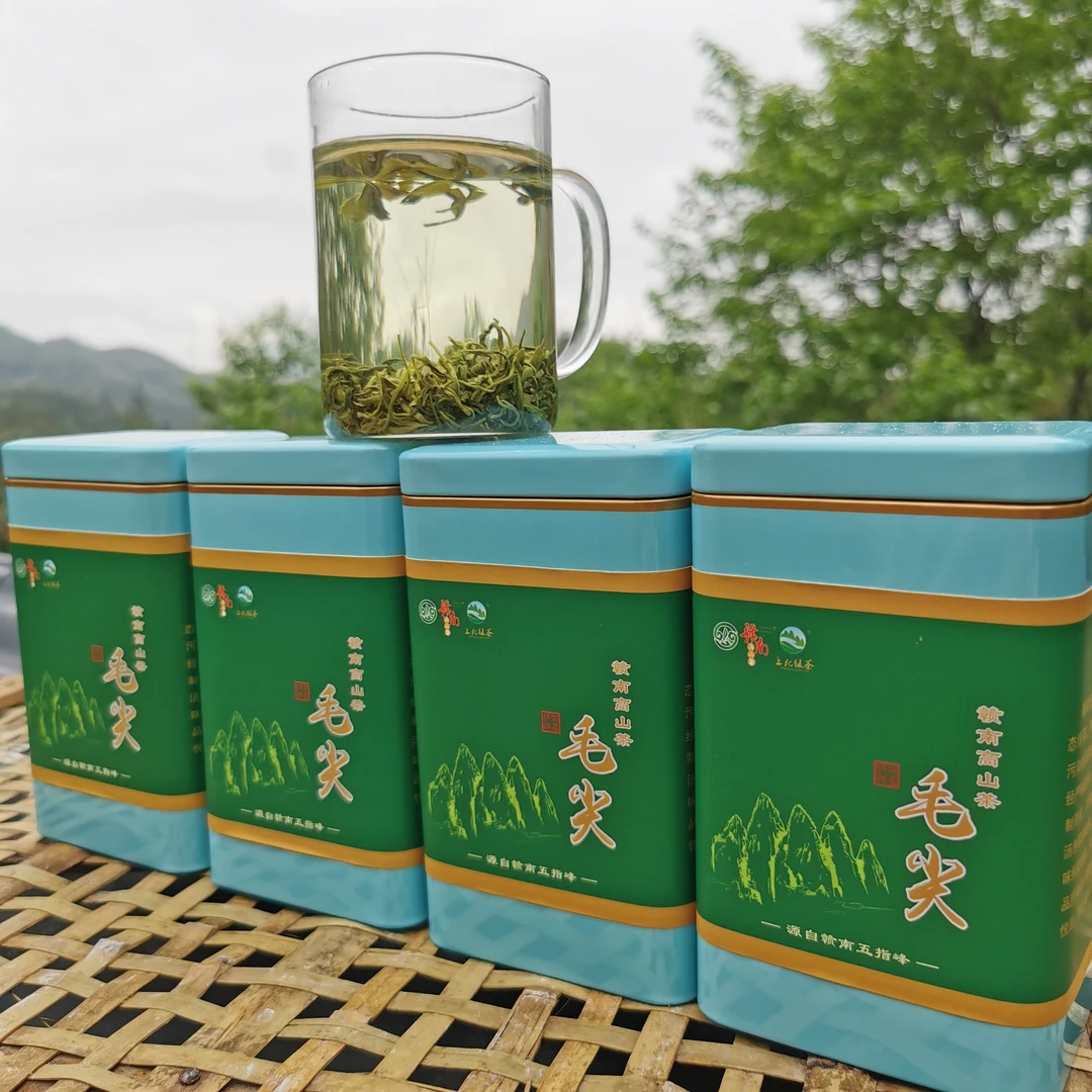 2025新茶明前2号毛尖绿茶五指峰高山茶上犹绿茶清香型绿茶