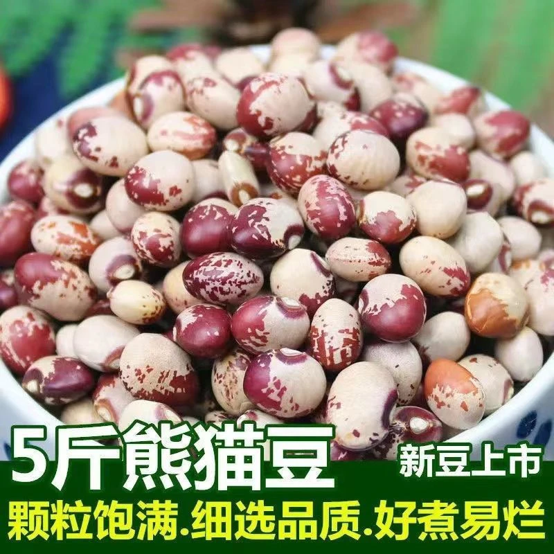 【发二斤】新货熊猫豆云南农家自产新鲜饭豆花豆批发新豆