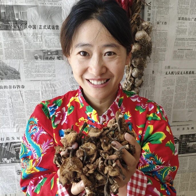 东北山上采野生蘑菇榛蘑250克