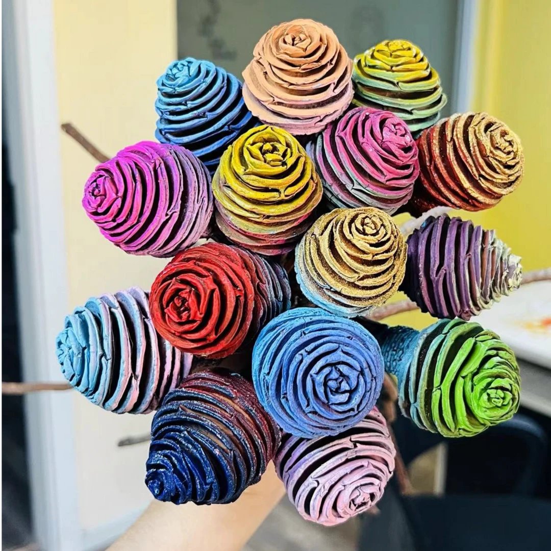 【螺旋果】奇奇怪怪小众花材 永生花材 6枝起拍