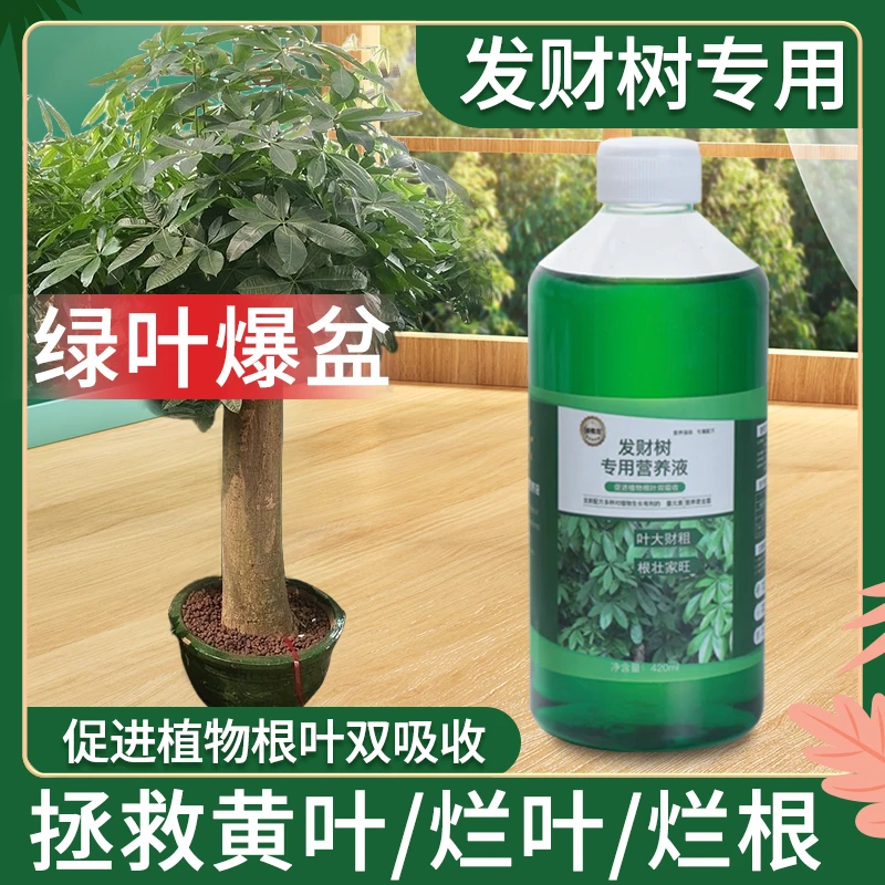 丛卉发财树浓缩营养液专用水培土培室内盆栽植物化肥料防黄叶