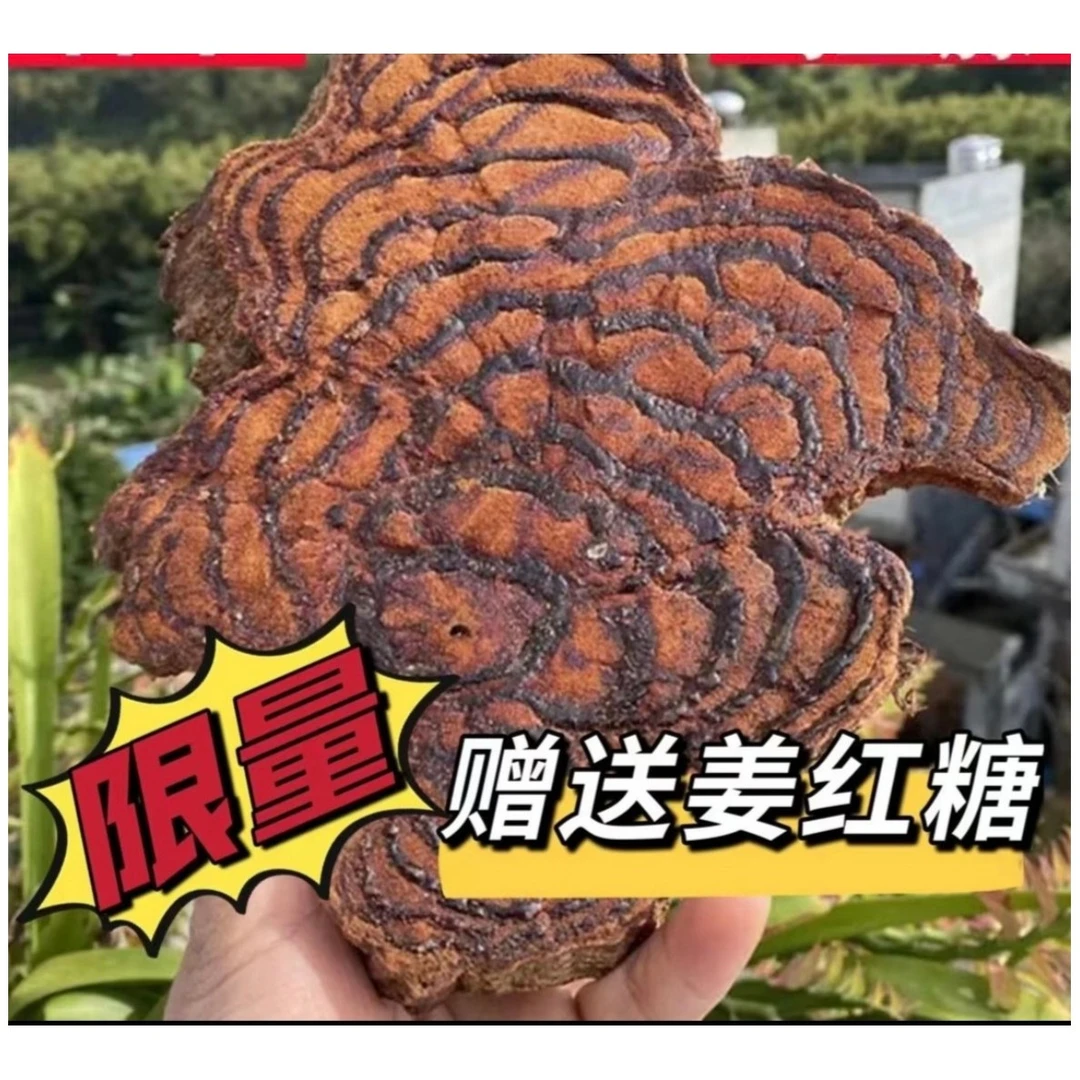 《老藤》广西深山鸡血藤老藤梗部500g/1000g/1500g