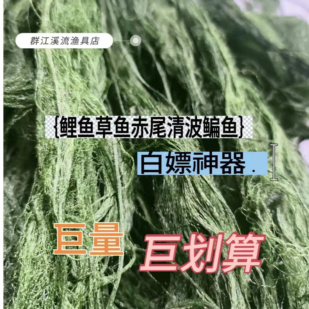 干青苔鱼饵青波鲤鱼草鱼鳊鱼赤尾真空包装巨划算