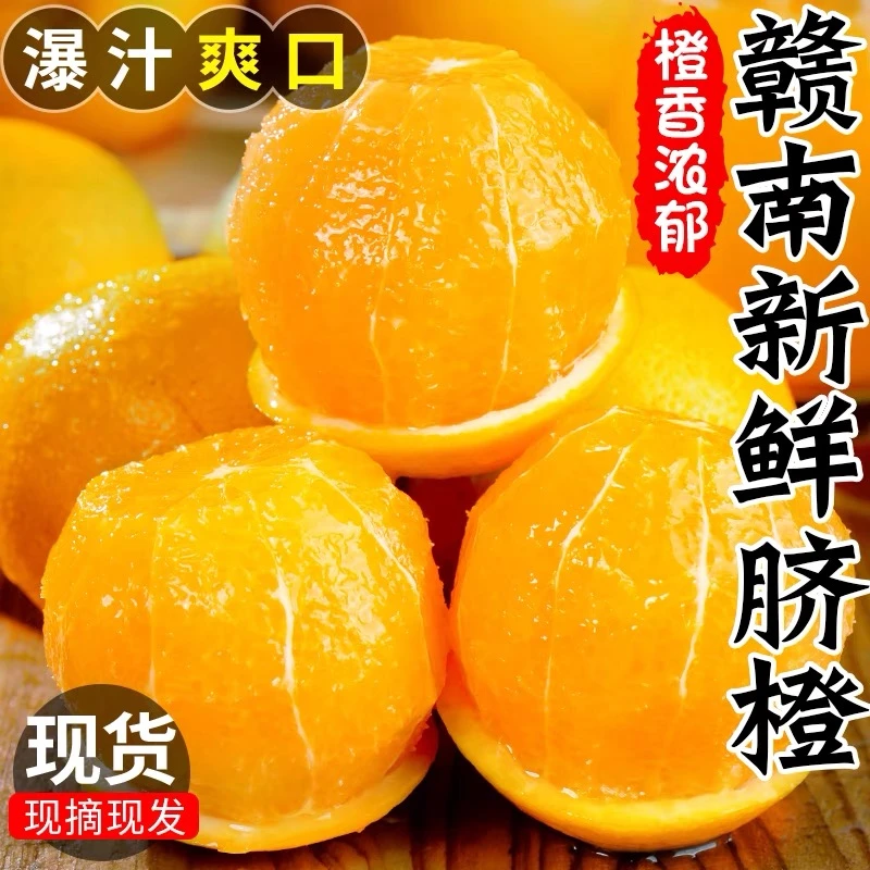 赣南脐橙【精品现摘直发】【来自大自然的美味】皮薄汁水多 大龙专属