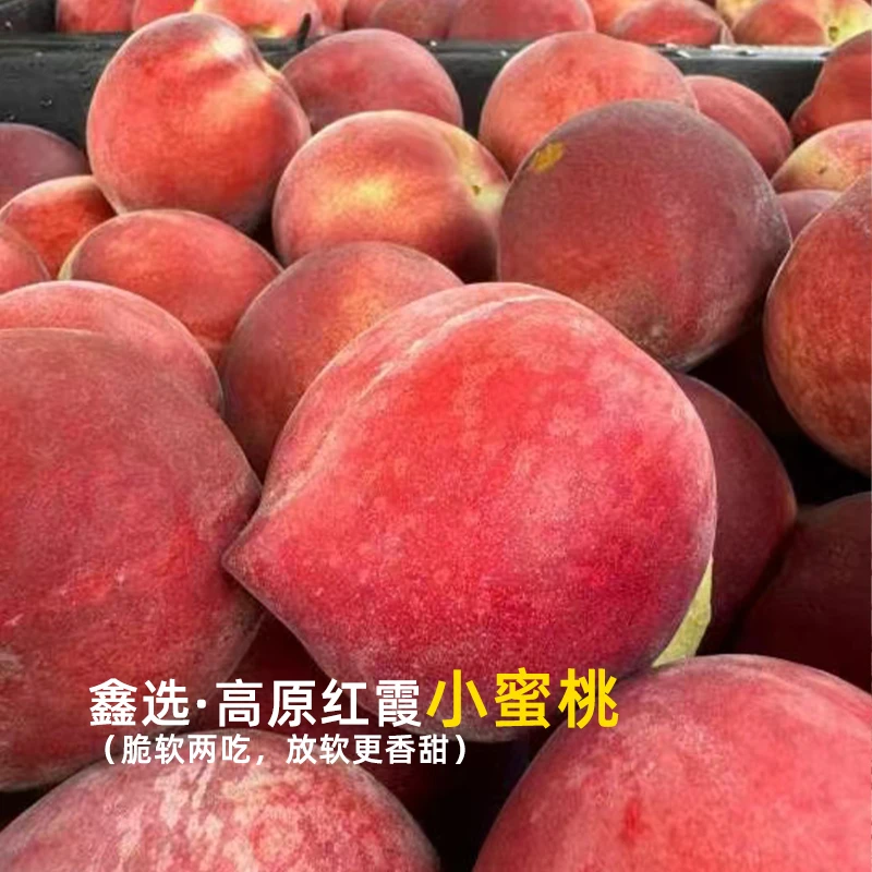 鑫选 超绿高原红霞小水蜜桃3-9斤软硬两吃香甜油桃3斤 邮政空运