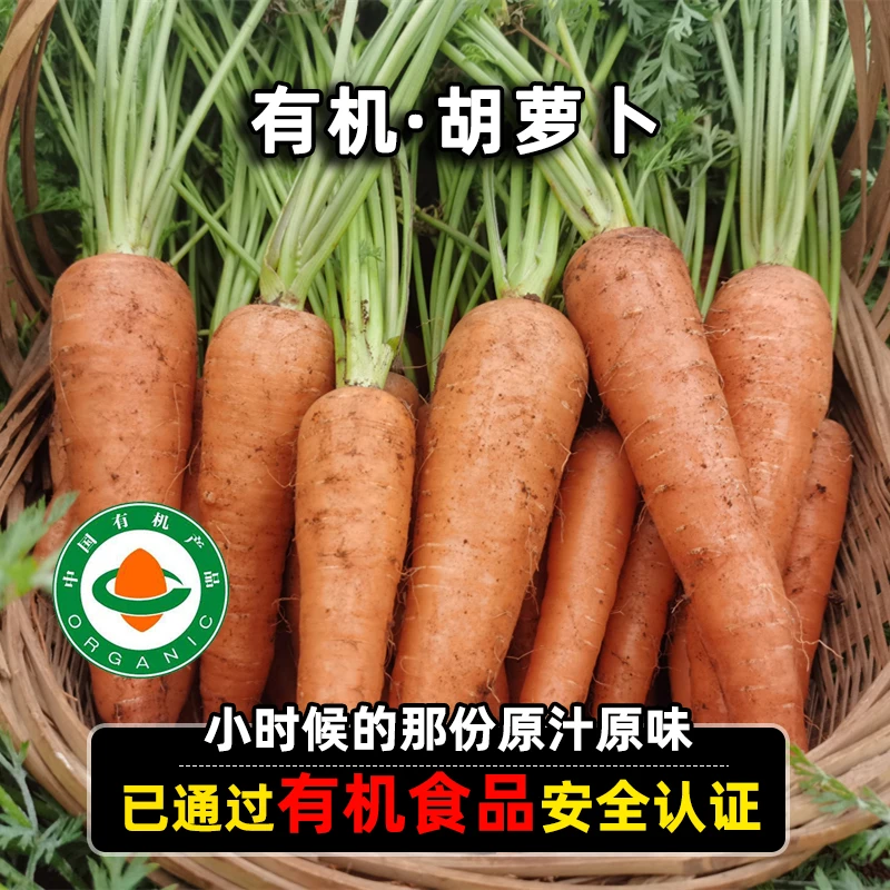 鑫选云南生态有机小胡萝卜3-5斤 应季新鲜食用放心蔬菜 顺丰直发