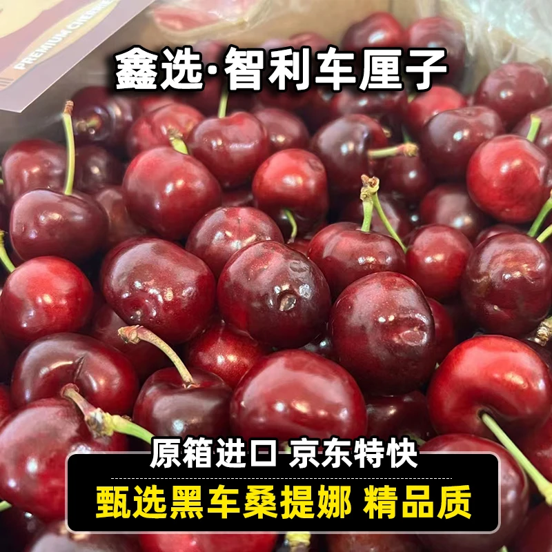 【鑫选甄选】Santina桑提娜车厘子智利进口原箱5斤JJ级2斤 空运直发