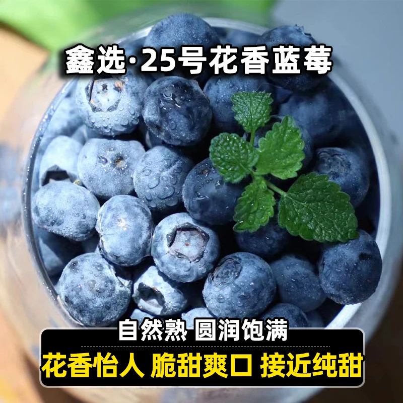 鑫选 25号花香蓝莓4盒/8盒 花香怡人脆甜爽口近纯甜 顺丰空运