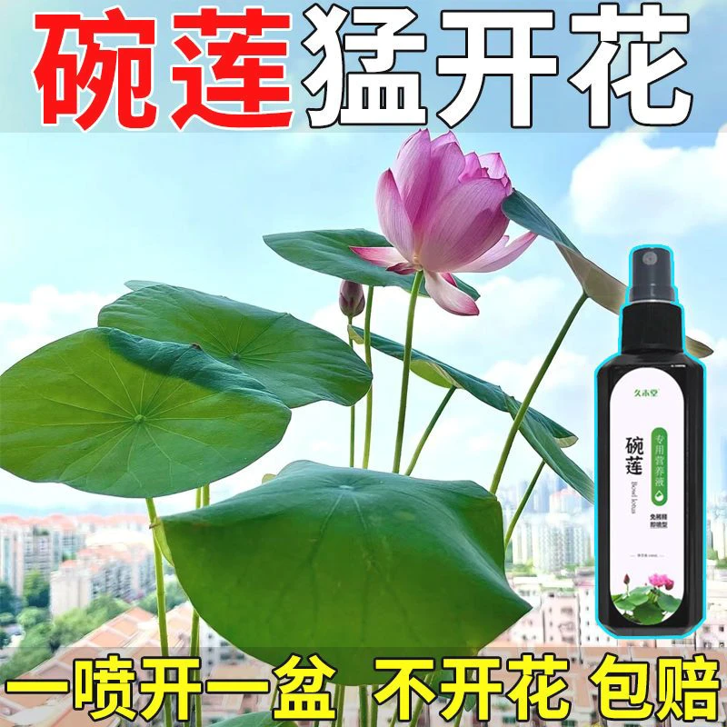 【液体肥】碗莲睡莲专用营养液免稀释促发芽开花延长花期防烂叶枯