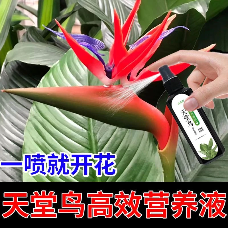 养液治黄叶生长缓慢促开花延花期花增艳高效直喷型液体肥植物花卉