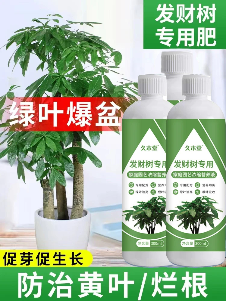 发财树专用绿植园艺治黄叶烂根营养液促进生长根疏松土植物营养液