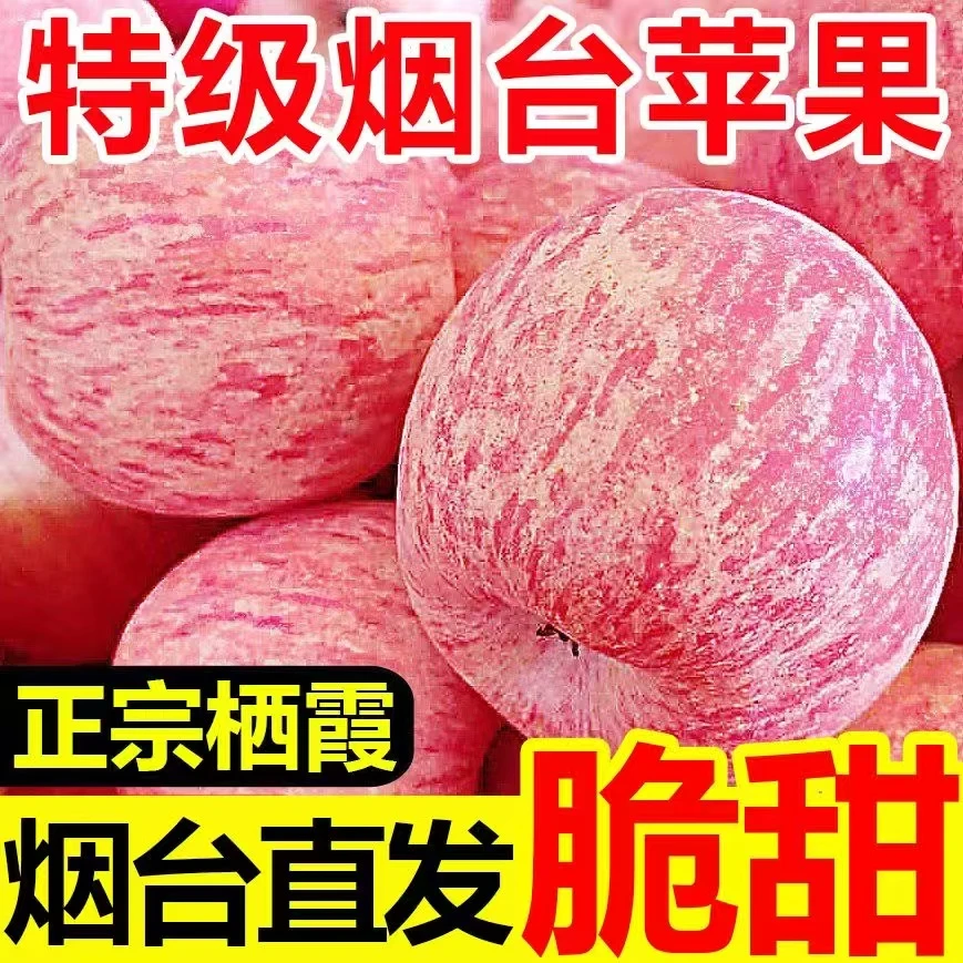 苹果苹果苹果苹果苹果苹果