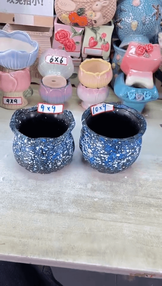 【闪购商品】陶瓷15cm以下@@浩渺花盆2件套