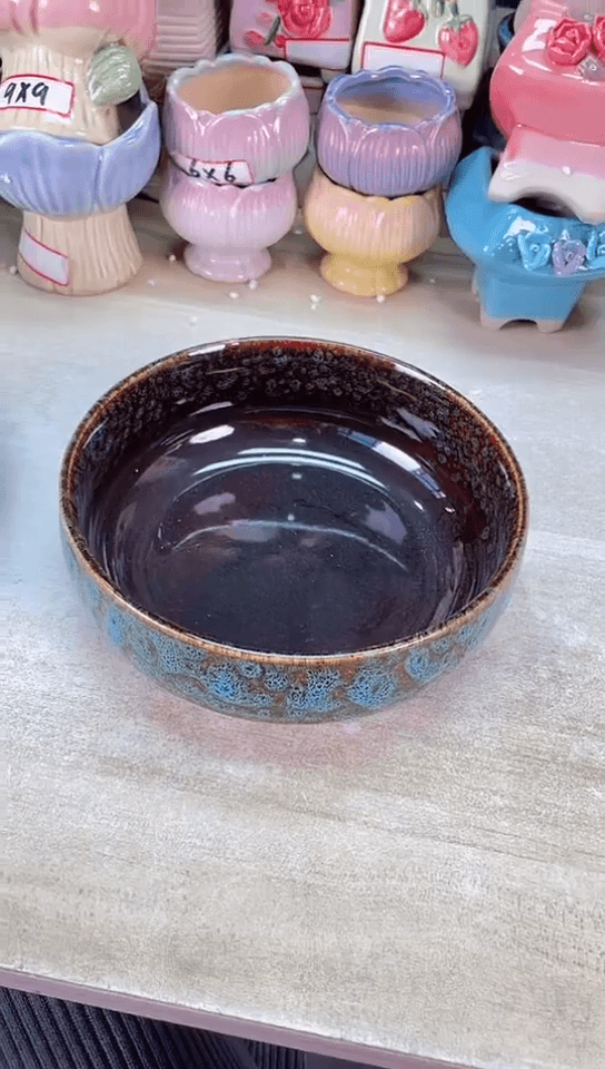 【闪购商品】陶瓷15cm以下@@F6-103A-无孔水培06-兰变